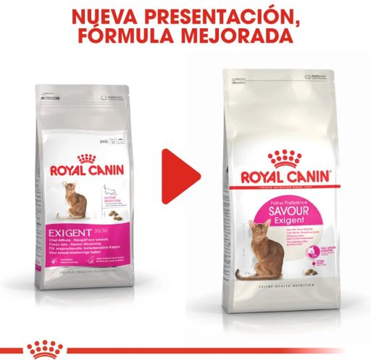 Royal Canin Savour Exigent - Kattenvoer - 4 Kg 9 Royal Canin Savour Exigent - Kattenvoer - 4 Kg - Afbeelding 7