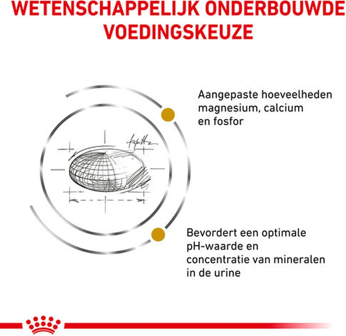 Royal Canin Urinary S/O Kat - Morsels In Gravy - 24 X 85 Gram 8 Royal Canin Urinary S/O Kat - Morsels In Gravy - 24 X 85 Gram - Afbeelding 6