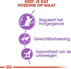 Royal Canin Appetite Control Care - Kattenvoer - 2 Kg -Katten Benodigdheden Winkel 1200x1167 11