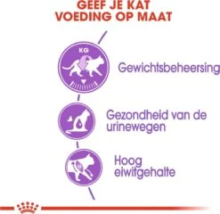 Royal Canin Sterilised 37 - Kattenvoer - 4 Kg 20 Royal Canin Sterilised 37 - Kattenvoer - 4 Kg -Katten Benodigdheden Winkel 1200x1168 5