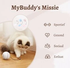 MyBuddy - Interactieve Zelf Rollende Bal - Kattenspeeltjes - Kattenspeelgoed - Bal Voor Katten - LED Lights - Speelgoed - USB - Roze -Katten Benodigdheden Winkel 1200x1171 2