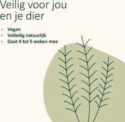 Catuals Kattenbakvulling Geurverdrijver - Neutraliseert Urinegeur Van Katten - Baby Care - 1kg 15 Catuals Kattenbakvulling Geurverdrijver - Neutraliseert Urinegeur Van Katten - Baby Care - 1kg -Katten Benodigdheden Winkel 1200x1172 8