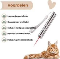 Laserpen - Kattenspeeltjes - Zaklamp - Kat - Laser - Kattenspeelgoed - RVS Opbergblikje -Katten Benodigdheden Winkel 1200x1175 11