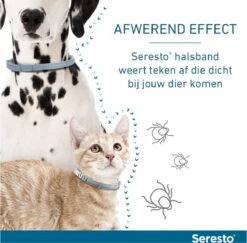 Seresto Teken- En Vlooienband - Anti Tekenmiddel - Kat - 38 Cm -Katten Benodigdheden Winkel 1200x1179 5