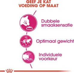 Royal Canin Savour Exigent - Kattenvoer - 4 Kg 19 Royal Canin Savour Exigent - Kattenvoer - 4 Kg -Katten Benodigdheden Winkel 1200x1180 1