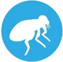 Bayer Bolfo Gold 40 Anti Vlooienmiddel - Kat - 0 Tot 4 Kg - 4 Pipetten 21 Bayer Bolfo Gold 40 Anti Vlooienmiddel - Kat - 0 Tot 4 Kg - 4 Pipetten -Katten Benodigdheden Winkel 1200x1180 18