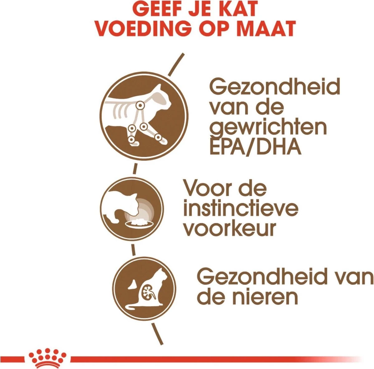 Royal Canin Wet Ageing 12+ (12X85 GR) 5 Royal Canin Wet Ageing 12+ (12X85 GR) - Afbeelding 3