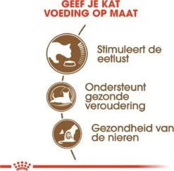 Royal Canin Ageing 12+ - Kattenvoer - 4 Kg -Katten Benodigdheden Winkel 1200x1182