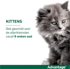 Bayer Advantage 40 Tegen Vlooien - <4kg - 4 X 0,4 Ml - Adult -Katten Benodigdheden Winkel 1200x1183 4