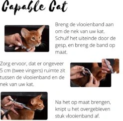 Capable Cat Vlooienband Kat | Vlooien | Luizen | Teken | Mijten | 8 Maanden Bescherming | Katten 14 Capable Cat Vlooienband Kat | Vlooien | Luizen | Teken | Mijten | 8 Maanden Bescherming | Katten -Katten Benodigdheden Winkel 1200x1186