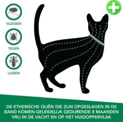 Teken- En Vlooienband Voor Katten PLUS - Natuurlijk Middel Tegen Vlooien En Teken - 100% Natuurlijk - 38,5 CM - Tot 8 Maand Werkzaam - Biologisch -Katten Benodigdheden Winkel 1200x1188 3