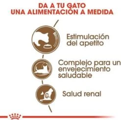 Royal Canin Ageing 12+ - Kattenvoer - 4 Kg -Katten Benodigdheden Winkel 1200x1195