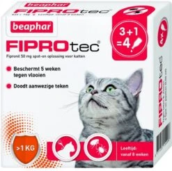 Beaphar Fiprotec Kat - Vlooienbestrijding - >1 Kg - 4 Pipetten 17 Beaphar Fiprotec Kat - Vlooienbestrijding - >1 Kg - 4 Pipetten -Katten Benodigdheden Winkel 1200x1197 1