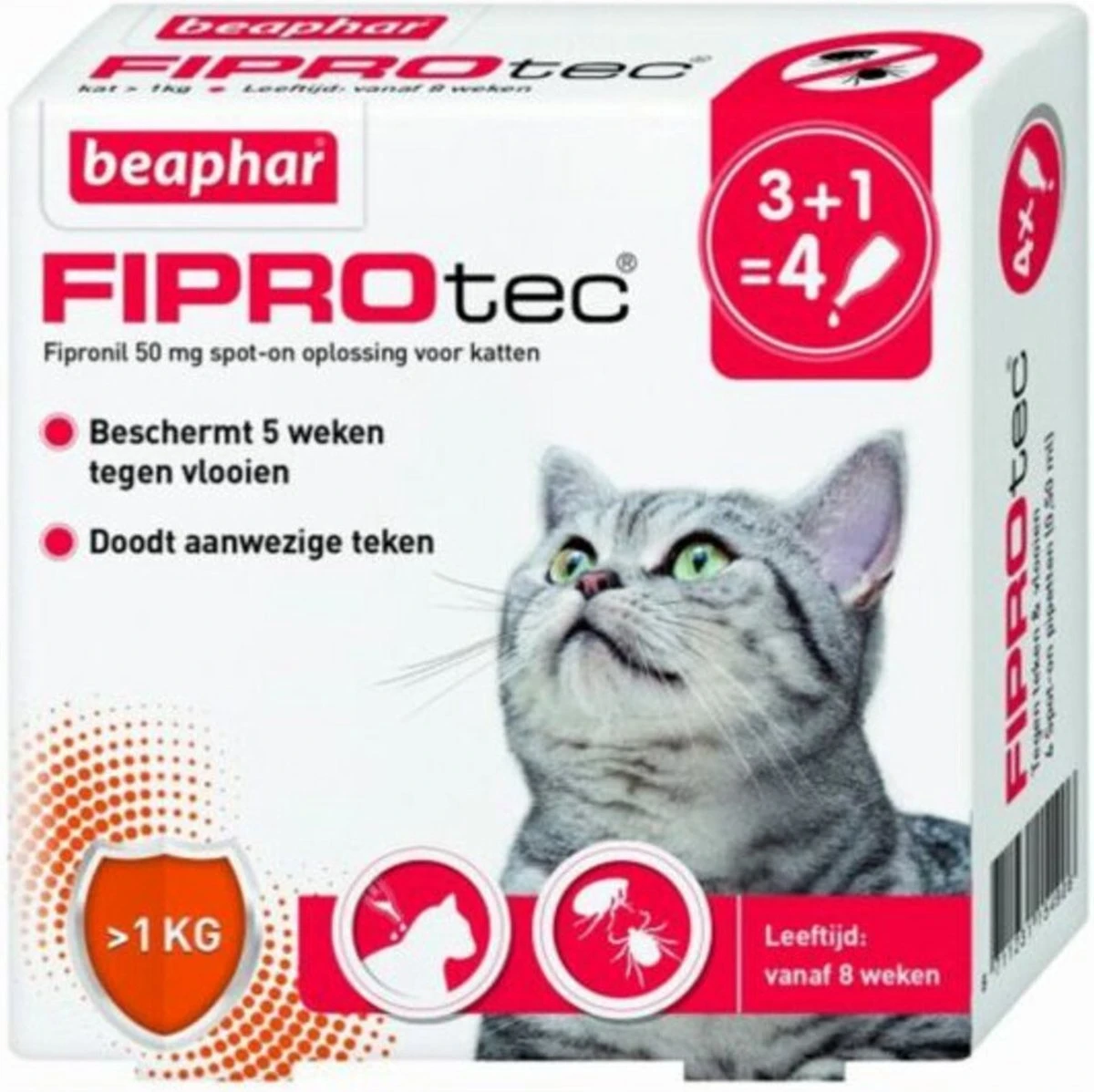 Beaphar Fiprotec Kat - Vlooienbestrijding - >1 Kg - 4 Pipetten 6 Beaphar Fiprotec Kat - Vlooienbestrijding - >1 Kg - 4 Pipetten - Afbeelding 4