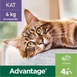 Bayer Anti Vlooienmiddel Advantage 80 > 4 Kg - 4 X 0,8 Ml -Katten Benodigdheden Winkel 1200x1199 16