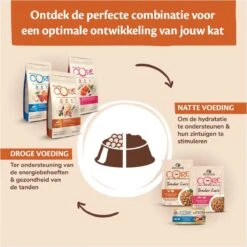 Wellness Core Grain Free Kitten - Kalkoen & Kip - Kattenvoer - 1.75 Kg 17 Wellness Core Grain Free Kitten - Kalkoen & Kip - Kattenvoer - 1.75 Kg -Katten Benodigdheden Winkel 1200x1199 6