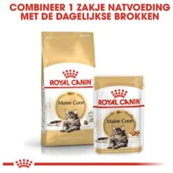 Royal Canin Maine Coon Adult - Kattenvoer - 10 Kg -Katten Benodigdheden Winkel 1200x1200 100