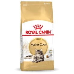 Royal Canin Maine Coon Adult - Kattenvoer - 10 Kg -Katten Benodigdheden Winkel 1200x1200 103