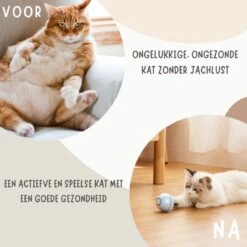 MyBuddy - Interactieve Zelf Rollende Bal - Kattenspeeltjes - Kattenspeelgoed - Bal Voor Katten - LED Lights - Speelgoed - USB - Roze -Katten Benodigdheden Winkel 1200x1200 1072