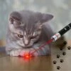 Katten Laser - Dierenwinkel Nederland -Katten Benodigdheden Winkel 1200x1200 1075