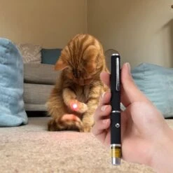 Katten Laser - Dierenwinkel Nederland 7 Katten Laser - Dierenwinkel Nederland -Katten Benodigdheden Winkel 1200x1200 1076