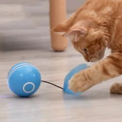 Otiume Elektrische Speelbal - Slimme Interactieve Zelfrollende Bal - Speelgoed Voor Katten - Kattenspeelgoed - Blauw -Katten Benodigdheden Winkel 1200x1200 1078