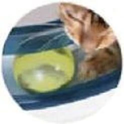Catit Design Senses Play Circuit - Kattenspeelgoed -Katten Benodigdheden Winkel 1200x1200 1096