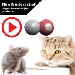 Cheerble Mini Ball 2.0 - Slimme Interactieve Zelf Rollende Bal Voor Katten - 3 Speelmodi - Kattenspeeltjes - USB Oplaadbaar - Rood 19 Cheerble Mini Ball 2.0 - Slimme Interactieve Zelf Rollende Bal Voor Katten - 3 Speelmodi - Kattenspeeltjes - USB Oplaadbaar - Rood -Katten Benodigdheden Winkel 1200x1200 1112