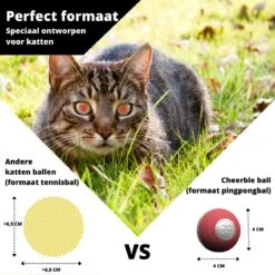Cheerble Mini Ball 2.0 - Slimme Interactieve Zelf Rollende Bal Voor Katten - 3 Speelmodi - Kattenspeeltjes - USB Oplaadbaar - Rood 20 Cheerble Mini Ball 2.0 - Slimme Interactieve Zelf Rollende Bal Voor Katten - 3 Speelmodi - Kattenspeeltjes - USB Oplaadbaar - Rood -Katten Benodigdheden Winkel 1200x1200 1113