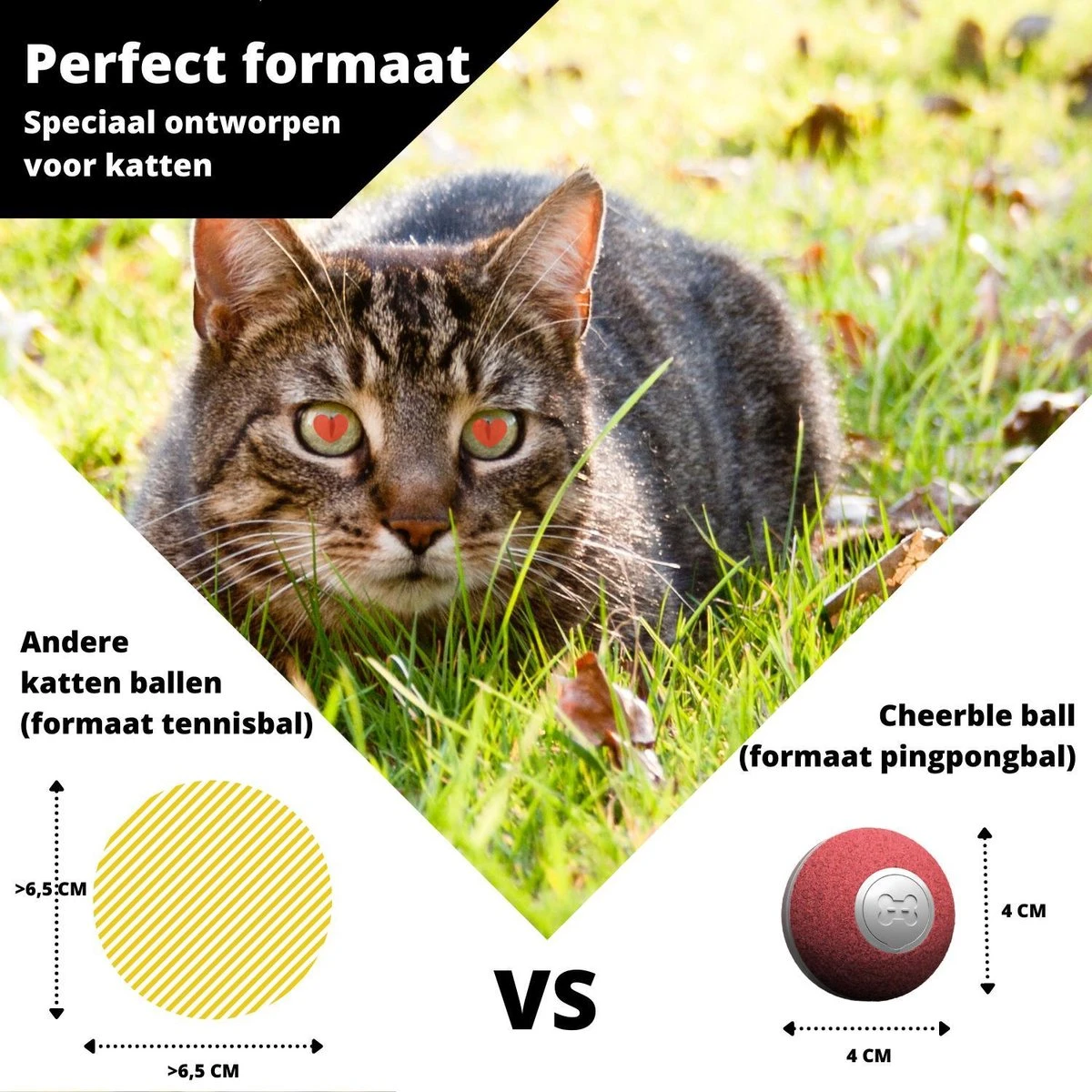 Cheerble Mini Ball 2.0 - Slimme Interactieve Zelf Rollende Bal Voor Katten - 3 Speelmodi - Kattenspeeltjes - USB Oplaadbaar - Rood 9 Cheerble Mini Ball 2.0 - Slimme Interactieve Zelf Rollende Bal Voor Katten - 3 Speelmodi - Kattenspeeltjes - USB Oplaadbaar - Rood - Afbeelding 7