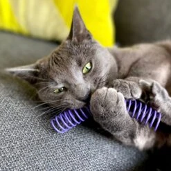 Pettadore Springs - Kattenveertjes - Kattenspeelgoed - Kattenspeeltjes - 9 Stuks -Katten Benodigdheden Winkel 1200x1200 1125