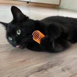 Pettadore Springs - Kattenveertjes - Kattenspeelgoed - Kattenspeeltjes - 9 Stuks -Katten Benodigdheden Winkel 1200x1200 1127