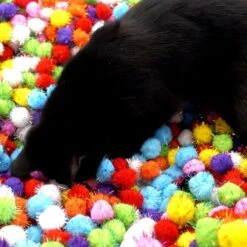 Make Me Purr Glitter Pompon Ballen (10 Stuks) - Kattenspeeltjes - Kattenspeelgoed - Speelgoed Voor Katten - Kat Speeltje Bal - Kitten Speeltjes Balletjes -Katten Benodigdheden Winkel 1200x1200 1138