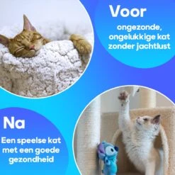TocaToca Kip- Interactieve Zelf Bewegende Speeltje- Kattenspeeltjes- Kattenspeelgoed- Intelligentie- Kip Voor Katten- Laser- USB- Speelgoed- Geluid- Blauw -Katten Benodigdheden Winkel 1200x1200 1142