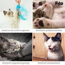 Filo Kattenhengel Set + 12 Kattenspeeltjes – Speelhengels Interactief Kattenspeelgoed – Hengel Kattenspeeltje Kittens - Speelgoed Speelhengel Vis Kat En Kitten 16 Filo Kattenhengel Set + 12 Kattenspeeltjes – Speelhengels Interactief Kattenspeelgoed – Hengel Kattenspeeltje Kittens - Speelgoed Speelhengel Vis Kat En Kitten -Katten Benodigdheden Winkel 1200x1200 1146