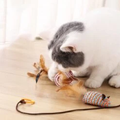 Kattenspeelgoed - Set Met 7 Kattenspeeltjes - Complete Set - Kattenhengel - Speelmuis -Katten Benodigdheden Winkel 1200x1200 1158