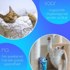 TocaToca Kip- Interactieve Zelf Bewegende Speeltje- Kattenspeeltjes- Intelligentie- Kattenspeelgoed- Kip Voor Katten- Laser- USB- Speelgoed- Geluid- Oranje -Katten Benodigdheden Winkel 1200x1200 1163
