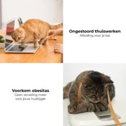 Pettadore - Laser Kattenspeeltjes - Smart Met Autoplay En Handmatig Via App -Katten Benodigdheden Winkel 1200x1200 1169