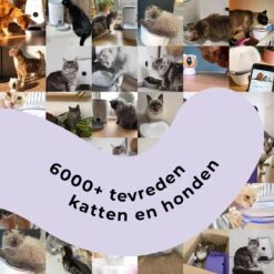 Pettadore - Laser Kattenspeeltjes - Smart Met Autoplay En Handmatig Via App -Katten Benodigdheden Winkel 1200x1200 1171