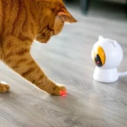 Pettadore - Laser Kattenspeeltjes - Smart Met Autoplay En Handmatig Via App -Katten Benodigdheden Winkel 1200x1200 1174