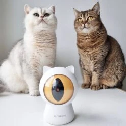 Pettadore - Laser Kattenspeeltjes - Smart Met Autoplay En Handmatig Via App -Katten Benodigdheden Winkel 1200x1200 1176