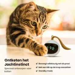 Otiume Interactieve Speelbal - Slimme Interactieve Jaag Speeltje Voor Katten - Kattenspeeltjes - Intelligente Jaagbal - AI -USB Oplaadbaar - LED - Blauw 12 Otiume Interactieve Speelbal - Slimme Interactieve Jaag Speeltje Voor Katten - Kattenspeeltjes - Intelligente Jaagbal - AI -USB Oplaadbaar - LED - Blauw -Katten Benodigdheden Winkel 1200x1200 1178