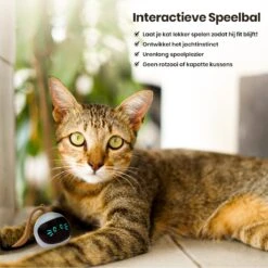 Otiume Interactieve Speelbal - Slimme Interactieve Jaag Speeltje Voor Katten - Kattenspeeltjes - Intelligente Jaagbal - AI -USB Oplaadbaar - LED - Blauw 15 Otiume Interactieve Speelbal - Slimme Interactieve Jaag Speeltje Voor Katten - Kattenspeeltjes - Intelligente Jaagbal - AI -USB Oplaadbaar - LED - Blauw -Katten Benodigdheden Winkel 1200x1200 1180