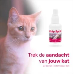LBB - Catnip Spray 50ML - 100% Natuurlijk - CE Gekeurd - Kattenkruid Spray - Catnip Speelgoed - Valeriaan - Kat - Katten -Katten Benodigdheden Winkel 1200x1200 1200