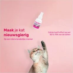 LBB - Catnip Spray 50ML - 100% Natuurlijk - CE Gekeurd - Kattenkruid Spray - Catnip Speelgoed - Valeriaan - Kat - Katten -Katten Benodigdheden Winkel 1200x1200 1202