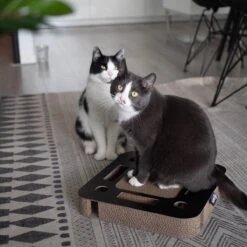 Interactief Krabspeelgoed Van Karton Met Balletje En Belletje - District 70 SPY - Zwart Of Wit 35x35x6cm - Zwart -Katten Benodigdheden Winkel 1200x1200 1209