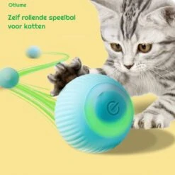 Otiume Slimme Katten Speeltje - Interactieve Zelf Rollende Bal Voor Katten - Kattenspeeltjes - USB Oplaadbaar- Turquoise -Katten Benodigdheden Winkel 1200x1200 1215