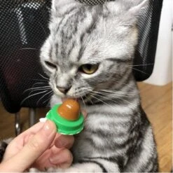 Merkloos EPIN | Kattenkruid Lik Snoepje | Plak Strip | Katten Snacks | Katten Snoep -Katten Benodigdheden Winkel 1200x1200 1236