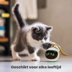 Otiume Slimme Katten Speeltje - Interactieve Zelf Rollende Bal Voor Katten - Kattenspeeltjes -Speelgoed Voor Dieren - USB Oplaadbaar -Katten Benodigdheden Winkel 1200x1200 1237