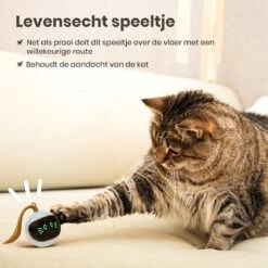 Otiume Slimme Katten Speeltje - Interactieve Zelf Rollende Bal Voor Katten - Kattenspeeltjes -Speelgoed Voor Dieren - USB Oplaadbaar -Katten Benodigdheden Winkel 1200x1200 1239